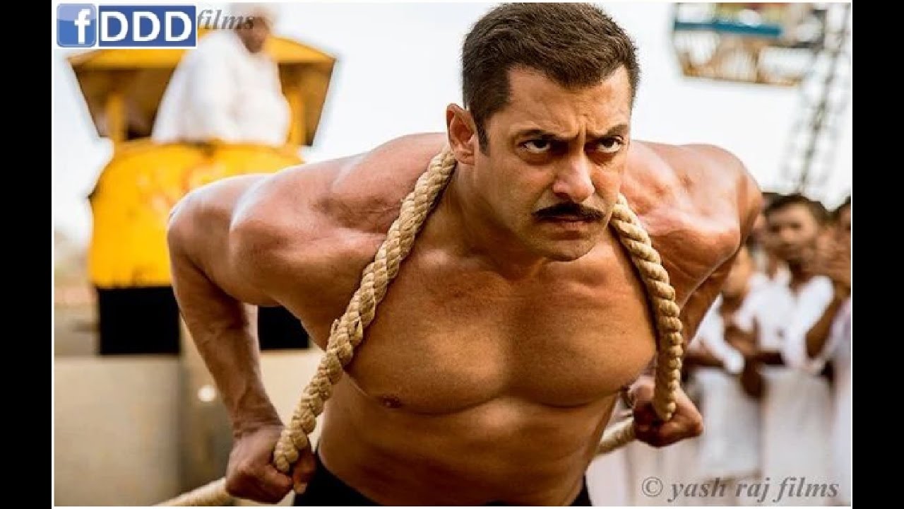 Rise Of Sultan Lyrics | Sultan | Shekhar Ravjiani | Vishal Shekhar