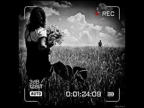 Hakan AKTAŞ ft MaçA's & Şahbaz & Tasfir - Hoşcakal