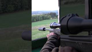 🎬 Jetzt auf Hunt on Demand ansehen und nichts verpassen! Die Muffeljagd im Hunsrück!🌿
