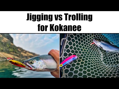 Jigging vs Trolling for Kokanee