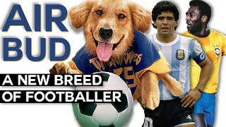 Download lagu [April FOOL] Buddy “Air Bud” (Player Bio 2020): An ELITE Attacker & The Future of Football mp3