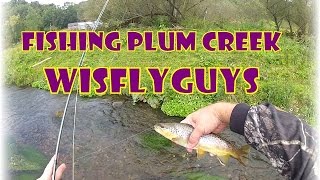 Trout fishing in Wisconsin