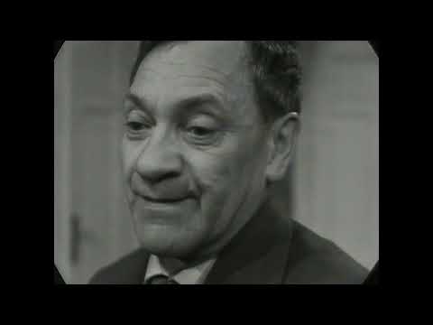 Die Unverbesserlichen