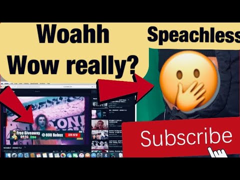 WOMBAT - SWINE FLU |Reaction🔥or💩