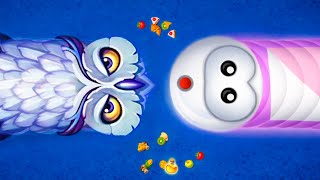 From Zero to Total Madness 🤯 | Worm Zone Full Match – Part 1