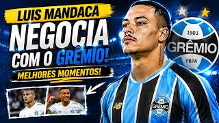 LUIS MANDACA NO GRÊMIO? VEJA OS MELHORES MOMENTOS DO ALVO TRICOLOR! ANÁLISE COMPLETA DO JOGADOR