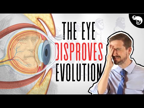Evolutionary Biologist Demonstrates How Eyes Evolved