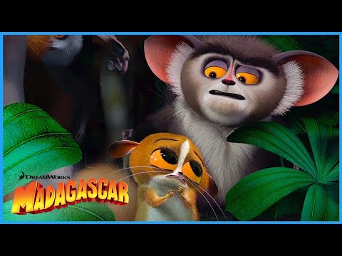 The Cutest Little Lemur 😍 | DreamWorks Madagascar