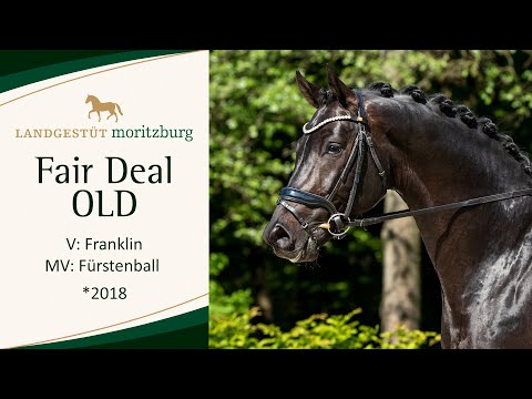 FAIR DEAL OLD im Training