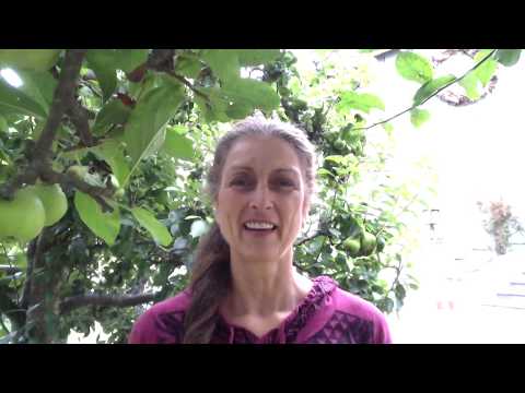 Wah! talks about Self Healing - Breath