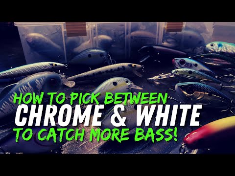 Chrome vs. White: How to Pick the PERFECT Color to Catch Bass this Spring!(Pro Fishing Secret)