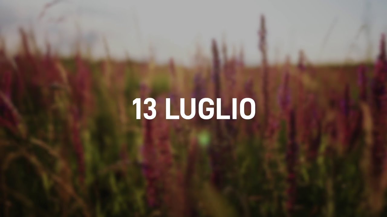 13 Luglio 2025 | Meditazione Parole di Vita