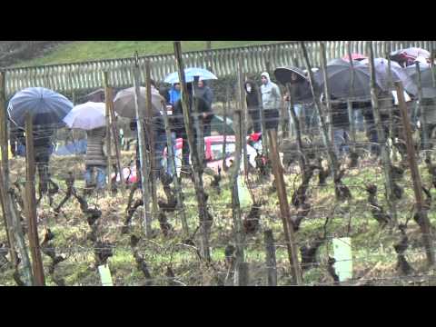 Rally Ronde Colli Monferrato 2015 ( Pinzano show!!! )