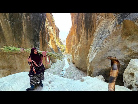 🐍🔥 Mysterious Valleys and Scary Snakes: Kulthum's Adventurous Journey from Snake to River 🌊🕊️p