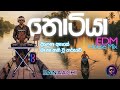 Thotiya තොටියා Dilena Ahase දිලෙනා අහසේ EDM House Mix RANAACHI
