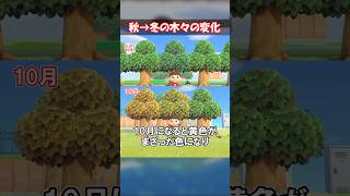 【紅葉】木々の季節による違い 【あつ森】@ほのげ