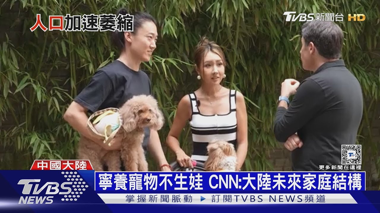 寵物比娃多! 陸年輕夫妻日子苦不願生延後退休年齡恐更慘