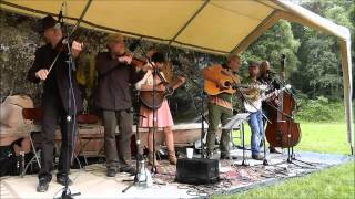 The Oldtime Stringband - Little Liza Jane