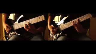Animals As Leaders - David (cover)