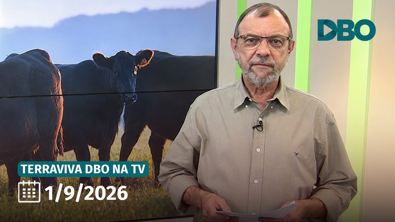 Terraviva DBO na TV – Programa do dia 1/9/2026 (Completo)
