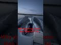 115 hp Mercury can’t go more then 25 mile what im doing wrong? #foryou  #boatlife #bayboat #bayliner