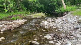 Play and Listen to the Forest Flowing Stream Sounds and Beautiful Nature Sounds for Deep Sleep