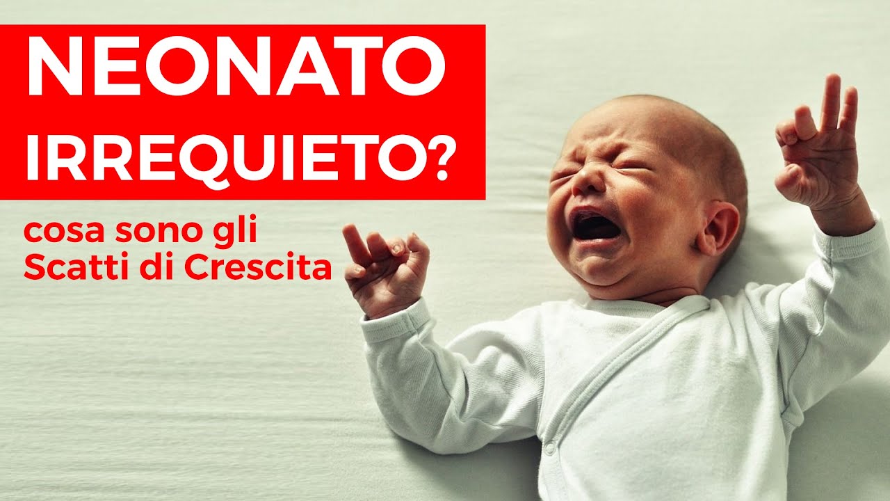 Nicoletta Borrelli-8