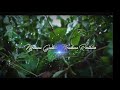 Gagana Veedhilo Song Whatsapp Status Gaddala Konda Ganesh Movie Songs Telugu Songs