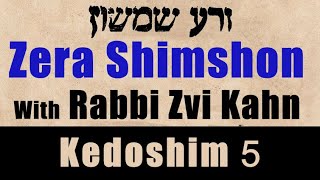זרא שמשון - קדושים #5 ת783 - רבי צבי קאן