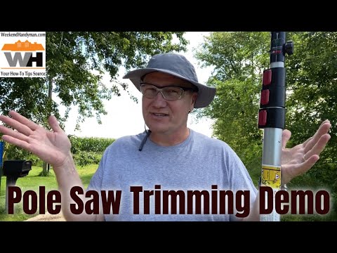 Trimming Tree Tips and Demonstration With Professional Pole Saw Road Tree Clean Up