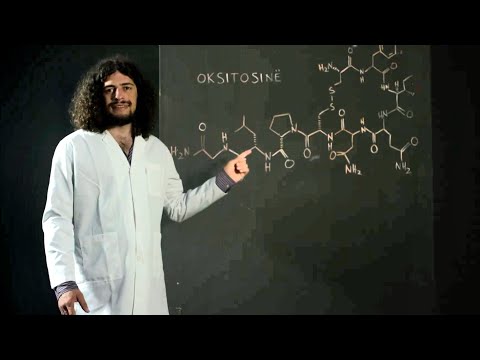 Aventurat e Julit 🎶 Lumturia