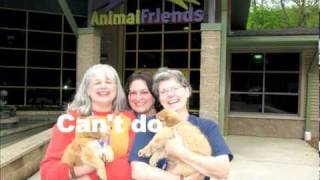 Animal Friends&#39; Volunteer Music Video