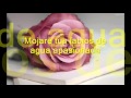 Estoy enamorado   Donato y Estefano