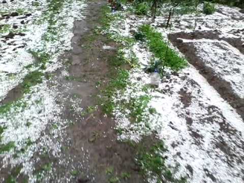 MDL Grindina ajunu Pastelui 2014 Malu Vanat Prahova 2