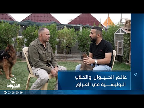 شاهد بالفيديو.. عالم الحيوان والكلاب البوليسية في العراق مع الكابتن خالد