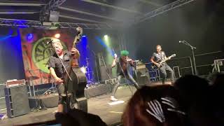 Demented Are Go - Bodies In The Basement - Summertime is Back In Elm 2022