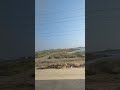 channel