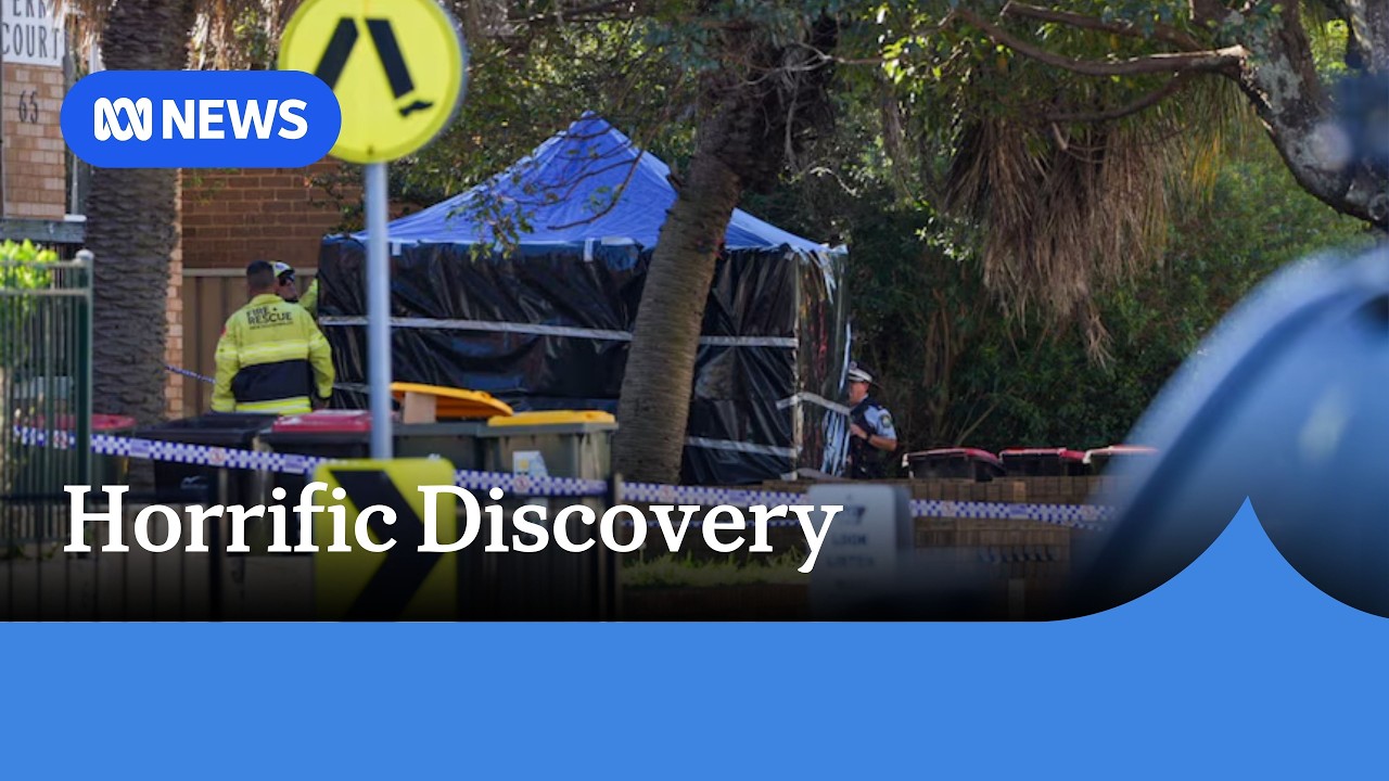 NSW Police Search for Mother After Newborn Found Dead in Sydney Bin