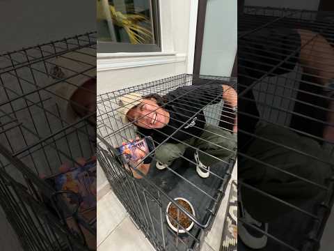MY DOG LOCKED ME IN HIS CAGE 😨 #shorts