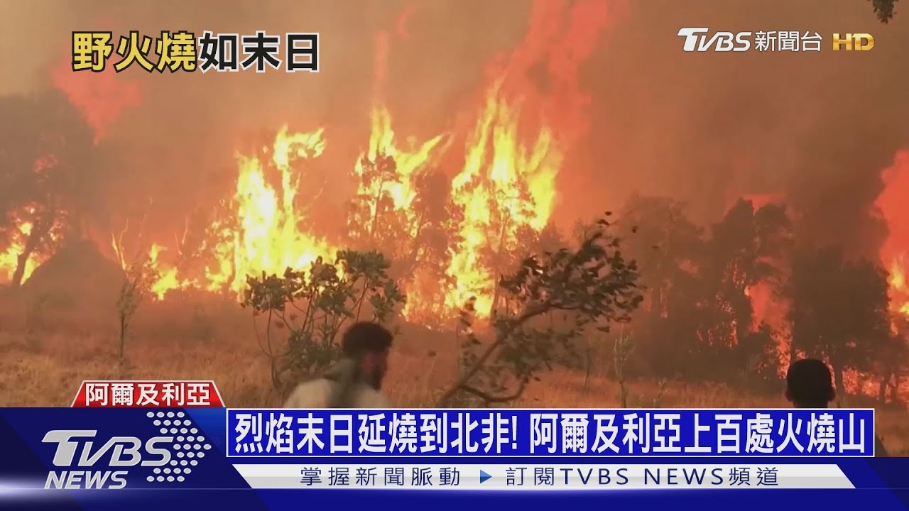 烈焰末日延燒到北非! 阿爾及利亞上百處火燒山
