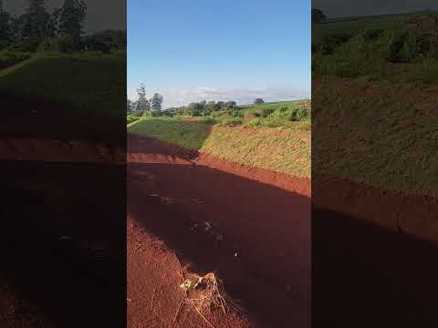 Formosa do oeste PR