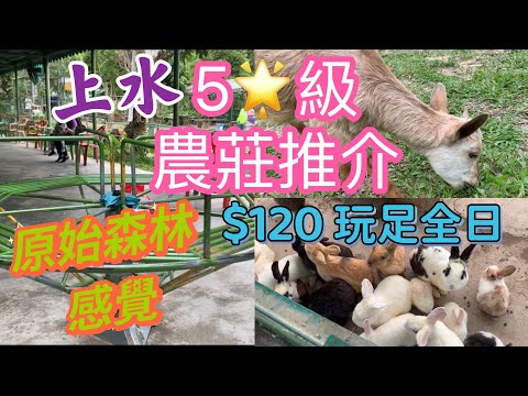 【親子好去處】上水農莊 刺激遊樂設施任玩 大草地跟小動物玩  環保工作坊 橫水道 笑聲正能量 行山好去處 ｜親子好去處 ｜香港好去處 ｜香港農莊 香港旅行 獨角獸廚房