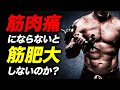 筋肉痛にならないと筋トレの効果がない? 筋肉痛と筋肥大の関係について【ビーレジェンド プロテイン】