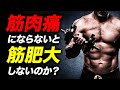 筋肉痛にならないと筋トレの効果がない？ 筋肉痛と筋肥大の関係について【ビーレジェンド プロテイン】