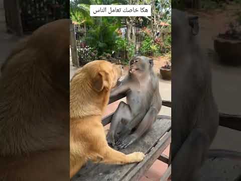 ١٩ أكتوبر ٢٠٢٦