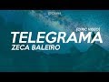 TELEGRAMA - ZECA BALEIRO [LYRIC VIDEO]