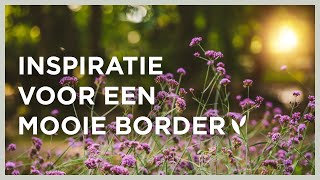 Inspiratie voor een mooie border | De vlindermagneet: Verbena bonariensis I Angelo Dorny