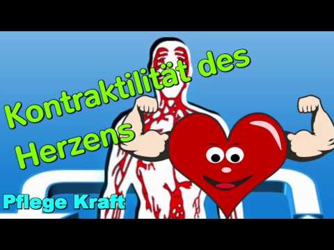 Die Kontraktilität des Herzens