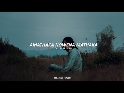 Amathaka Nowena Mathaka | අමතක නොවෙනා මතක (Slow & Reverb)