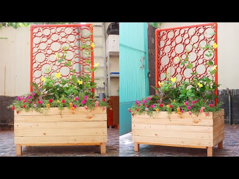 Let s grow bitter melon for your family this way it s very fruity and easy to make